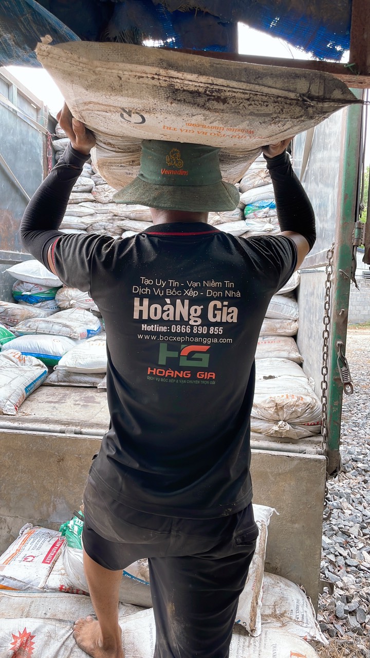 dịch vụ bốc xếp TP HCM